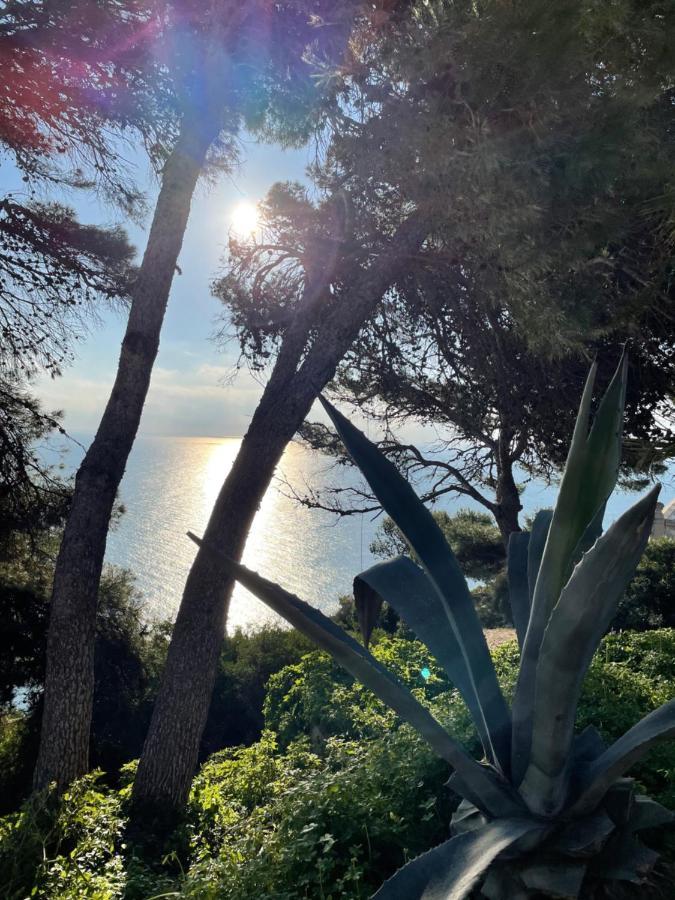 Casa Soluna Jávea Extérieur photo